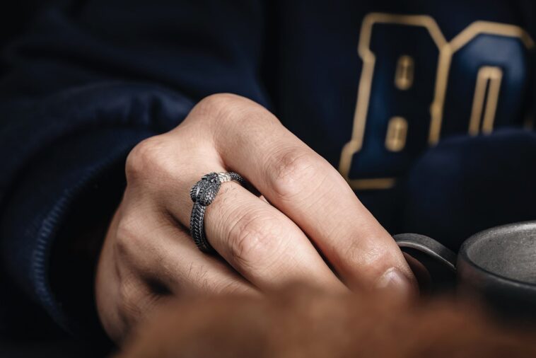 La bague d'Aragorn : symbole de légende et héritage en Terre du Milieu