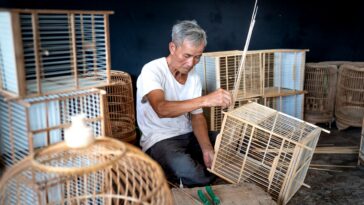 La baguette de sureau : un outil traditionnel aux multiples usages