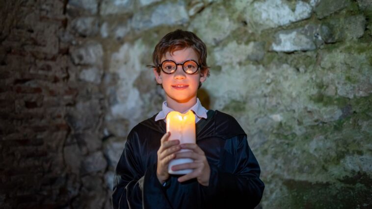 Les leçons de courage et d'amitié à travers le personnage de Cedric Diggory dans Harry Potter