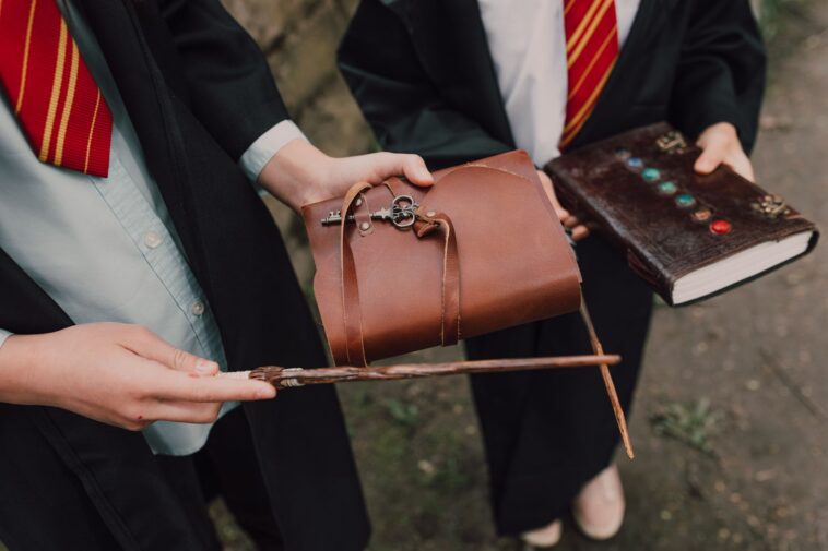 L'évolution de la relation entre Harry Potter et Ginny Weasley
