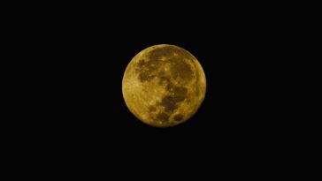 Tout savoir sur le donjon moon : histoire et stratégies